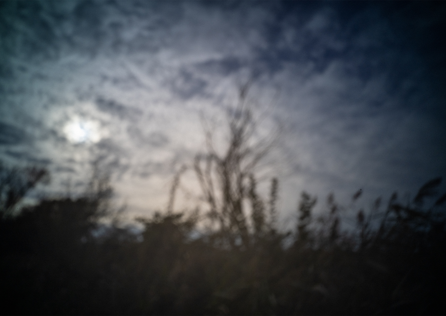 Pinhole Molsbroek